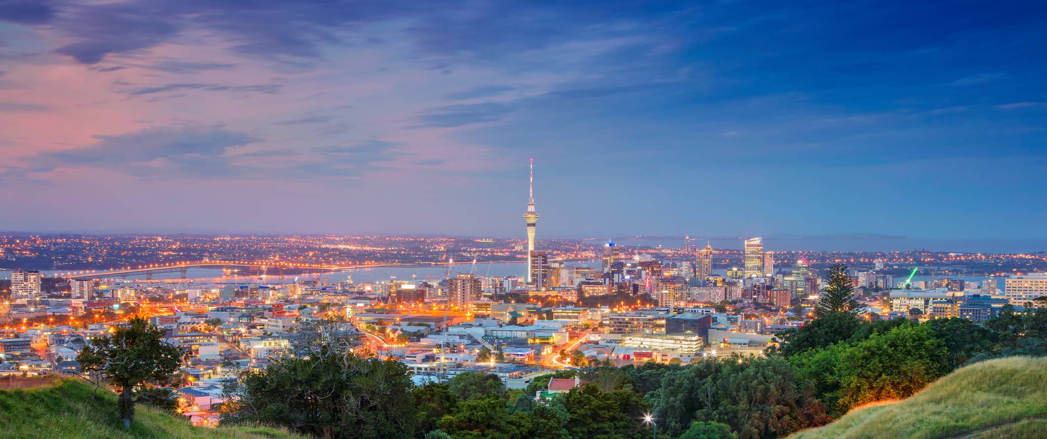 Auckland city view with the tower