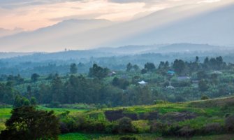 The view overlooking the lush forests and jungles of Uganda