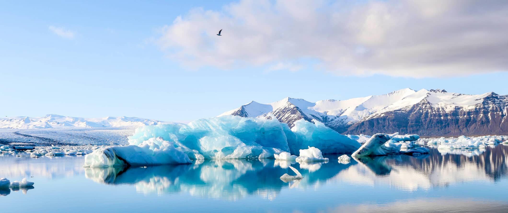 The beautiful blue Jökulsárlón lagoon in sunny Iceland