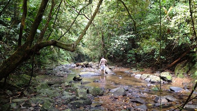 Hiking through the riverbed in Khao Sok