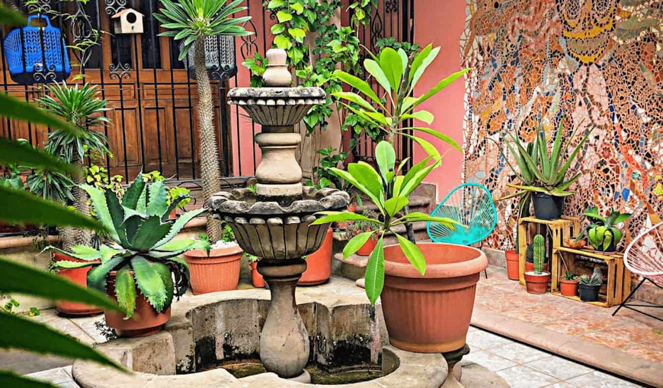 An outdoor common area full of plants at the Hostal Central in Oaxaca, Mexico