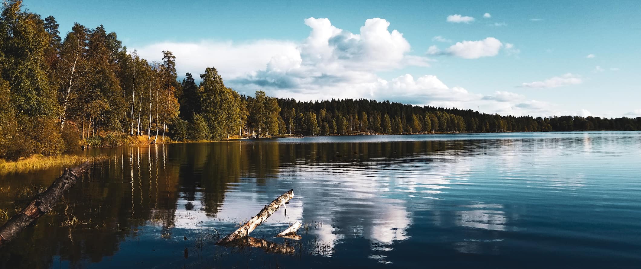 The beautiful wilderness area just outside of Oslo, Norway during a sunny summer day