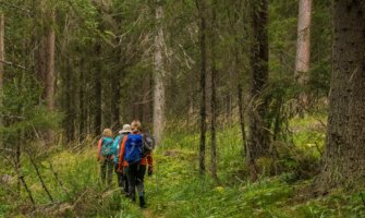 Senior travelers walking through the woods on a hike