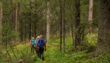 Senior travelers walking through the woods on a hike